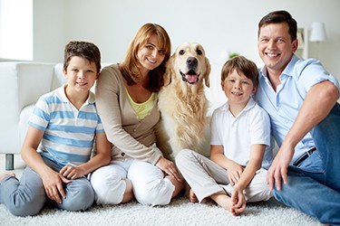 Pets in Divorce?  A look at the Law